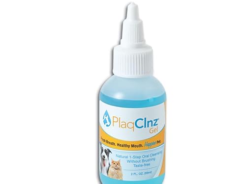 PlaqClnz Daily Treatment Gel, 2-Ounce Beauty & Personal Care PlaqClnz