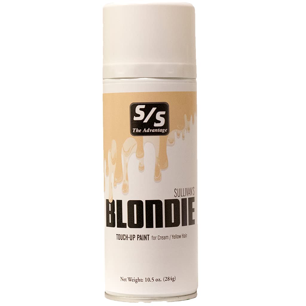 SULLIVAN'S Supply South Touch-Up Paint 10.5oz Can Blondie 10OZ Beauty & Personal Care SULLIVAN'S