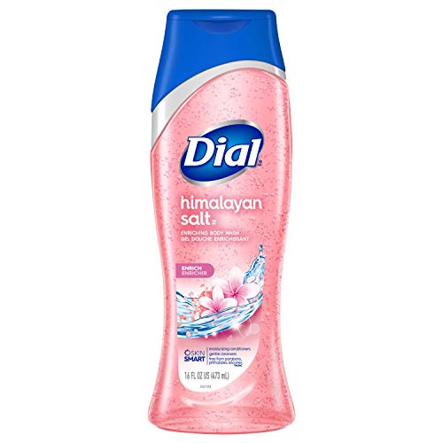 Dial Body Wash, Skin Therapy Himalayan Pink Salt & Water Lily, 16 Fluid Ounces Beauty & Personal Care Dial