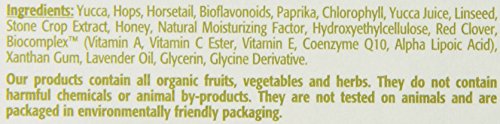 Eminence Organics Eight Greens Phyto Masque Beauty & Personal Care Eminence