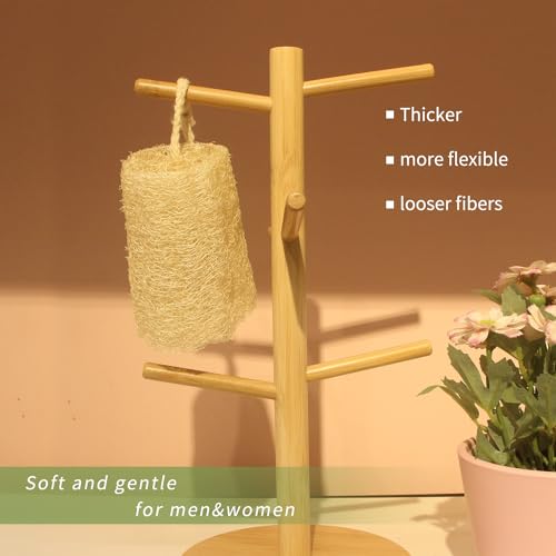 6Pack Luffa Sponges Gentle Exfoliating Body Scrubber for Shower Natural Loofah Sponge Unveil Your Skin's Natural Beauty… Beauty & Personal Care TIDIHUO