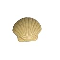Greenwich Bay - 4.3 oz. Seashell Scented Shea Butter Soap - Driftwood Beauty & Personal Care Greenwich Bay