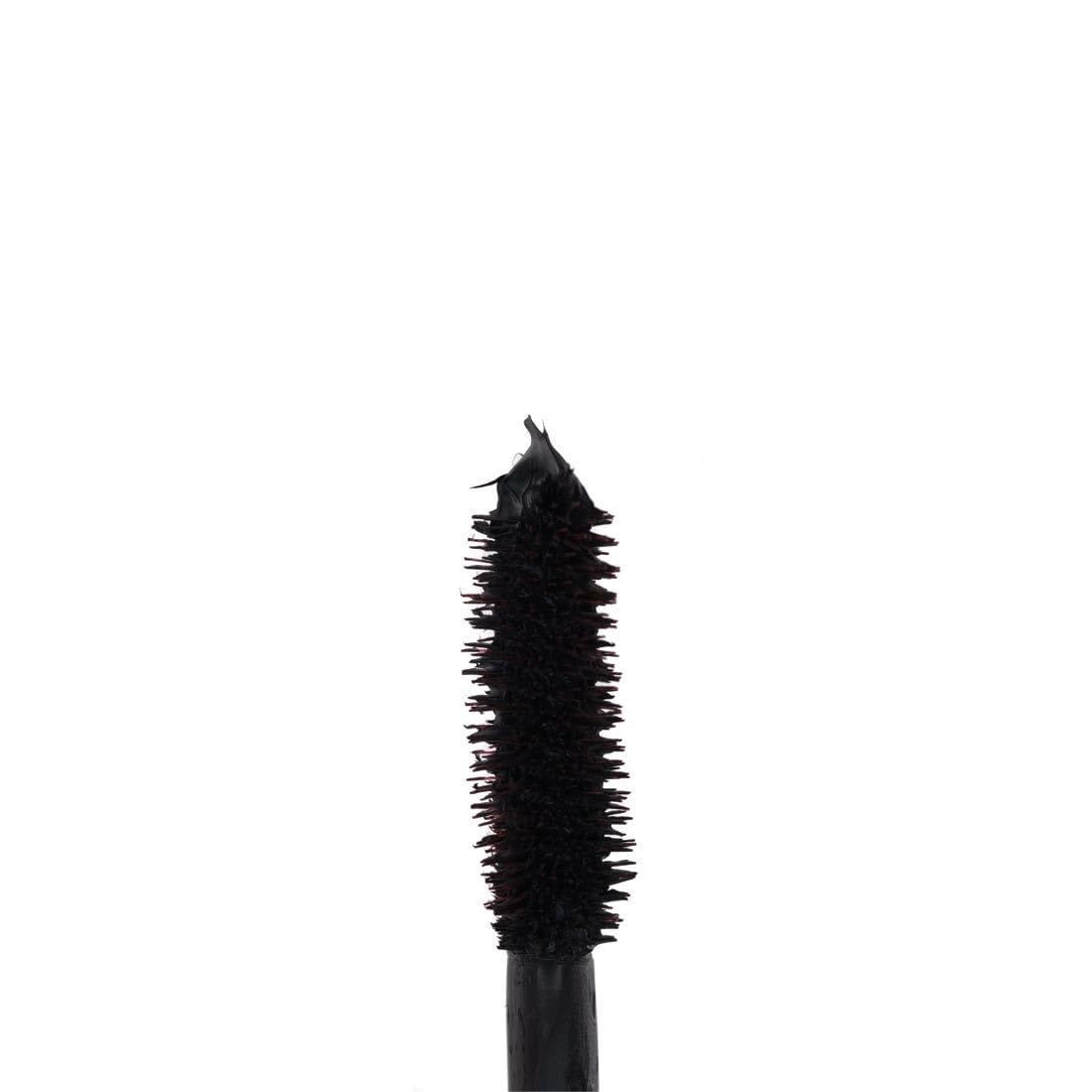 Palladio Twisted In Love Intensifying Mascara, Black, 0.34 Ounce Beauty & Personal Care Palladio