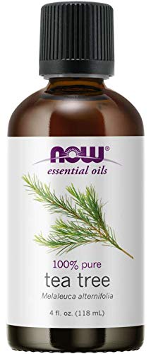 Now Foods Tea Tree Oil, 4 Ounces, Pack of 3 Beauty & Personal Care NOW Foods