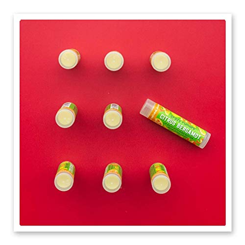 Crazy Rumors Citrus Bergamot Lip Balm. 100% Natural, Vegan, Plant-Based, Made in USA (1-Pack) Beauty and Personal Care Crazy Rumors