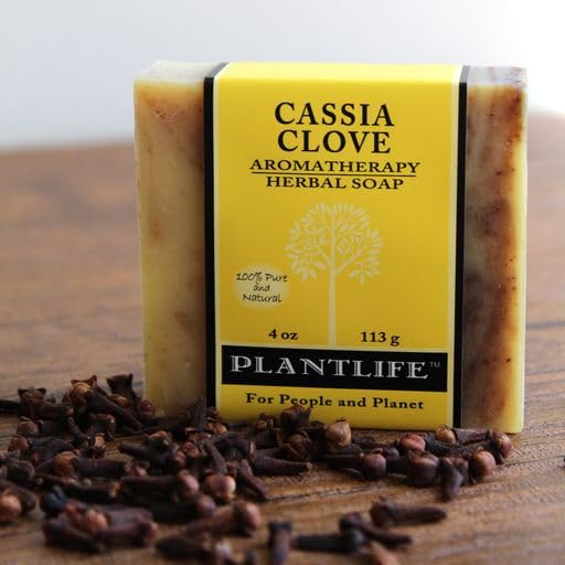 Plantlife Cassia Clove 6-pack Bar Soap - Moisturizing and Soothing Soap for Your Skin - Hand Crafted Using Plant-Based Ingredients - Made Beauty & Personal Care Plantlife