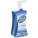 Dial 05400 7.5 Oz Spring Water Anti-Bacterial Foaming Hand Soap Beauty & Personal Care Dial