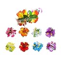 ALIMITOPIA Hawaiian Flower Hair Clip, 8pcs, Medium Size, Fabric Artificial Tropical Flower Hairpin Barrette, Hair Accessories for Luau Beach Party Beauty & Personal Care ALIMITOPIA