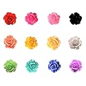 100 pieces Rose Embellishments for Nail Art Charm or jewelry making, 3D with Flat Back Resin Beads Manicure Multicolor Flowers Beauty & Personal Care VictorieLei