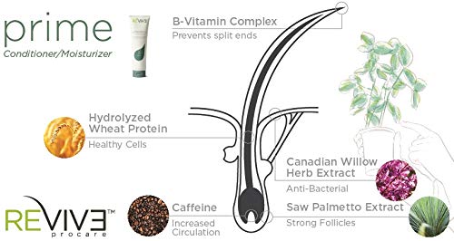 Revive Procare Prime Moisture & Hair Conditioner - Color Safe Conditioner For Healthy Scalp & Hair - Volumizing Hair Products To Reduce Breakage Beauty & Personal Care REVIV3 PROCARE