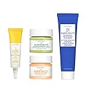 Earth To Skin Super Fruits Starter Set: Blueberry Exfoliating Cleanser (1.0 Fl Oz), Citrus Day Gel Cream (0.5 Fl Oz), Avocado Overnight Mask (0.5 Fl Beauty & Personal Care Earth To Skin