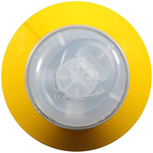 Got2b Glued Spray Wax with 2-in-1 Dual Spray Nozzle, 8 oz Beauty & Personal Care Got2B