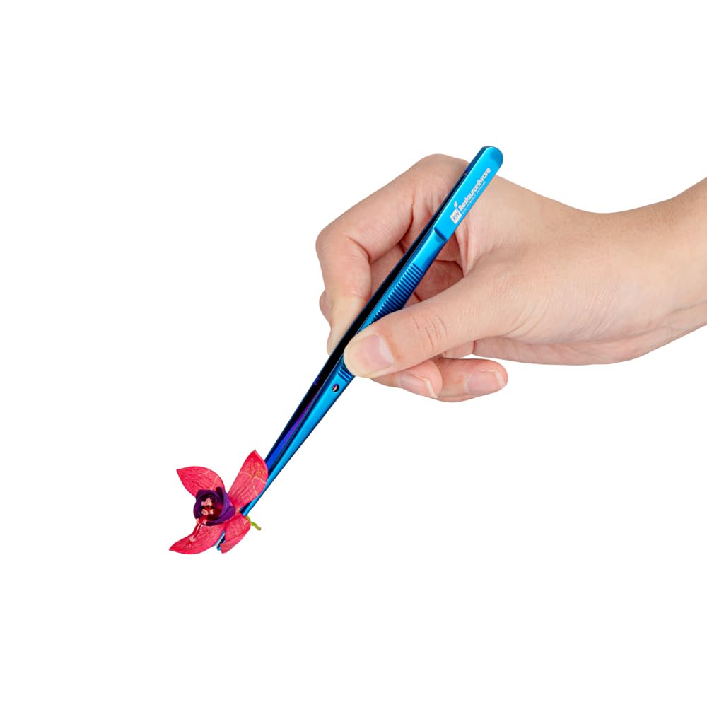 Restaurantware Perfect Point 6.3 Inch Food Tweezers 1 Straight Kitchen Tweezers - Fine Point Serrated Tips For Precision Blue Stainless Steel Cooking Beauty & Personal Care Restaurantware