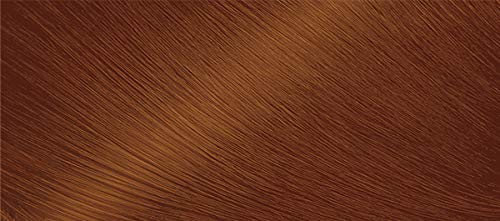 Bigen One Push 4C Cinnamon Brown - 2 Pack Beauty & Personal Care Bigen