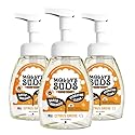 Molly's Suds Foaming Hand Soap - Made with Aloe and Coconut Oil | Moisturizing Hand Wash | Clean Ingredients, Infused with Essential Oils | Citrus Beauty & Personal Care Molly's Suds