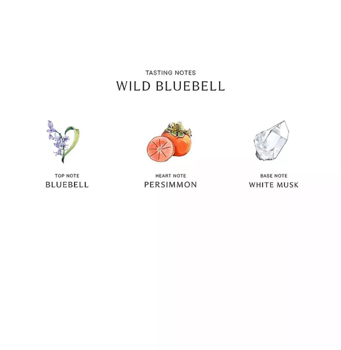 Jo Malone Wild Bluebell Body & Hand Wash (With Pump) 250ml/8.5oz Beauty & Personal Care Jo Malone