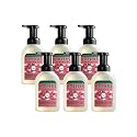 Mrs. MEYER'S CLEAN DAY Foaming Hand Soap, Watermelon Scent,10 Fl oz. (Pack of 6) Beauty & Personal Care Mrs. MEYER'S