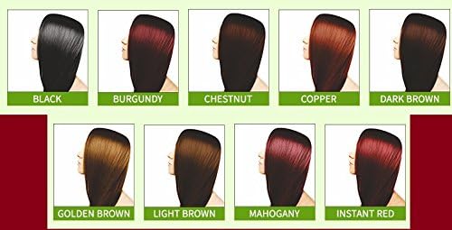 Noorani Henna Based Hair Color and Herbal Powder || Ships from California (1 (6 Pouch x 10g), BROWN HENNA) Beauty & Personal Care Noorani
