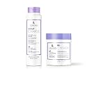 Lendan Anti-Yellow Kit with Violet Pigments, Violet Charge Shampoo 300ml + Re-Charge Mask 500ml Beauty & Personal Care Lendan