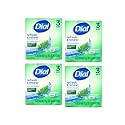 Dial Mountain Fresh Antibacterial Deodorant Bar Soap 3, 4 oz Soap Bars (Packs of 4) Beauty & Personal Care Dial