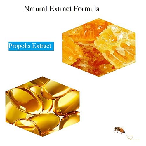 2PCS Lip Balm Honey Pot,Propolis Moisturizing Honey Lip Mask Lip Balm,Hydrating & Prevention Dry and Cracked Lip Scrubs Exfoliator Beauty & Personal Care Krajiyya