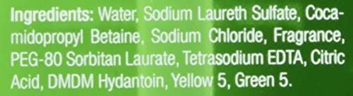 Neutrogena Rainbath Renewing Shower and Bath Gel, Pear & Green Tea (40 Oz) Beauty & Personal Care Neutrogena