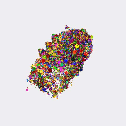 Neva Nude Face and Body Glitter Keychain - Chunky Loose Glitter for Festivals, Raves, and More | Cosmetic Grade | Super Sparkly (Rainbow Brite Beauty & Personal Care Neva Nude