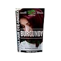 1 Pack Of Burgundy Henna Hair & Beard Color/Dye 100 Grams - Natural Hair Color, Plant-based Hair Dye - The Henna Guys Beauty & Personal Care The Henna Guys