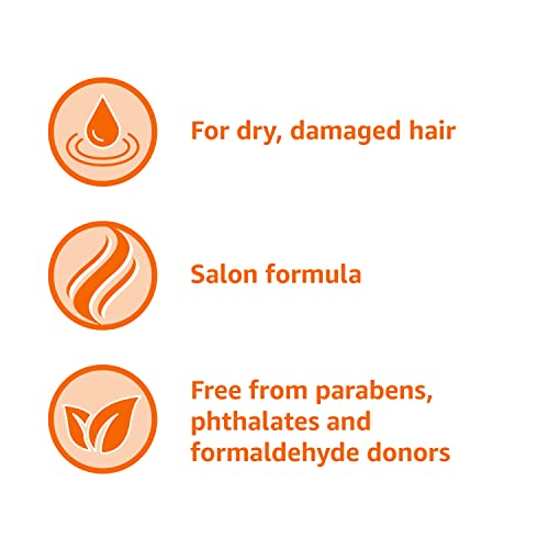 Amazon Basics Moisture Rich Conditioner, 28 Fluid Ounce Beauty & Personal Care Amazon Basics