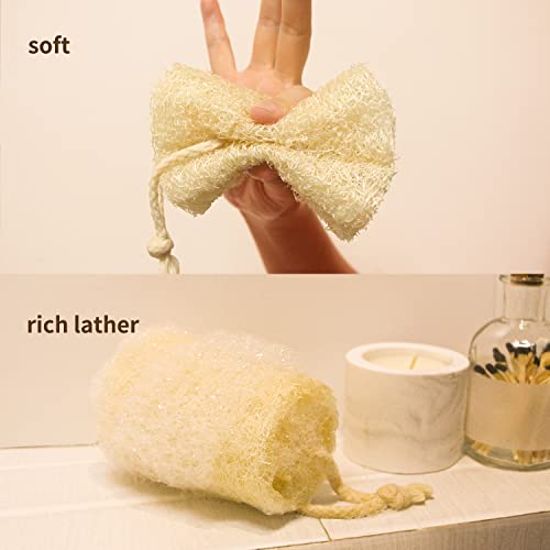 6Pack Luffa Sponges Gentle Exfoliating Body Scrubber for Shower Natural Loofah Sponge Unveil Your Skin's Natural Beauty… Beauty & Personal Care TIDIHUO
