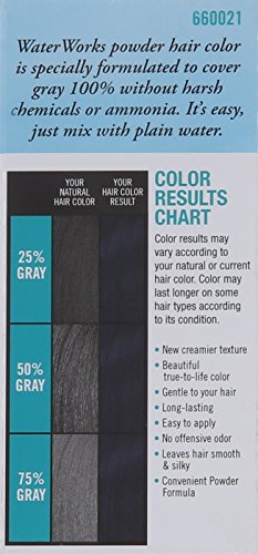 Water Works Water Activated Permanent Powder Hair Color for Men and Women, #21 Blue Black Beauty & Personal Care Water Works