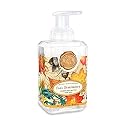Michel Design Works Foaming Hand Soap, Fall Symphony Beauty & Personal Care Michel Design Works