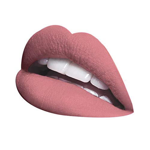 LA Splash Cosmetics Waterproof All Day Wear Liquid Matte Pink Lipstick Classic Hollywood Horror Collection [2017 LIMITED EDITION] (Christine) Beauty & Personal Care LA Splash