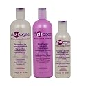 ApHogee Shampoo for Damaged Hair 16 Fl Oz, ProVitamin Leave-In Conditioner 16 Fl Oz, Keratin 2 Minute Reconstructor 8 Fl Oz Set Beauty & Personal Care Aphogee