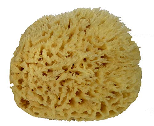 Spa Destinations Natural Sea Wool Sponge 6-7" Natural Renewable Resource Beauty and Personal Care Spa Destinations