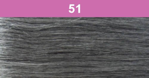 Foxy Silver (DS004 - Synthetic Ponytail in 51