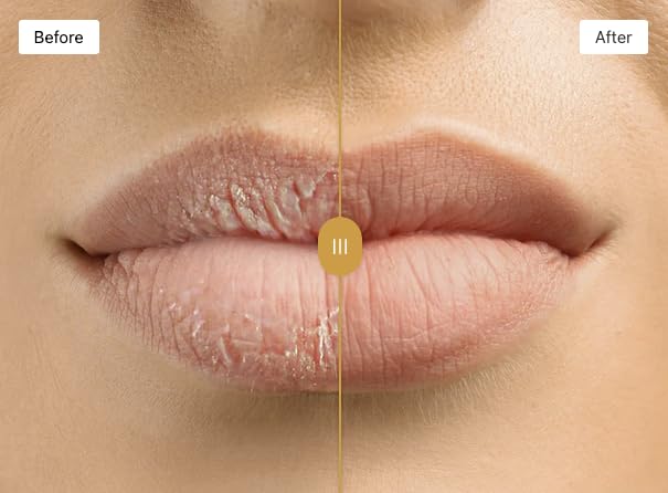 Hydrating Lip Stick by Omorfee for Dry, Chapped Lips - Nourishing Lip Butter for Cracked Lips - Moisturizes & Softens Very Dry Lips - 6g / 0.21 oz Beauty and Personal Care OMORFEE BE EXOTIC OF