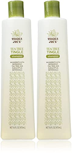 Trader Joe's Tea Tree Tingle Shampoo with Peppermint, Tea Tree and Eucalyptus Botanicals, 16-Ounces Pack of 2