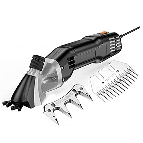 GagalU Hair Care Trimmer Professional 800W Heavy Duty Electric Clipper Wool Fader Shaved Wool Scissors 6-Speed Adjustable Pet & Beauty Products 9 Beauty and Personal Care GagalU