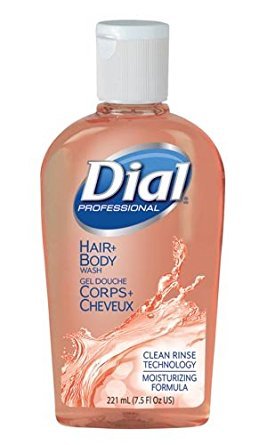 Dial Professional Hair + Body Wash, 7.5 OZ Flip-Top Cap Bottle (Pack of 24) Beauty & Personal Care Dial