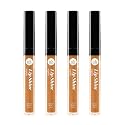 NICKA K NEW YORK Lip Shine, Cosmetics, vibrant colors, bright colors, shining lips, lip shine, long lasting (AMZ233) Beauty & Personal Care NICKA K NEW YORK