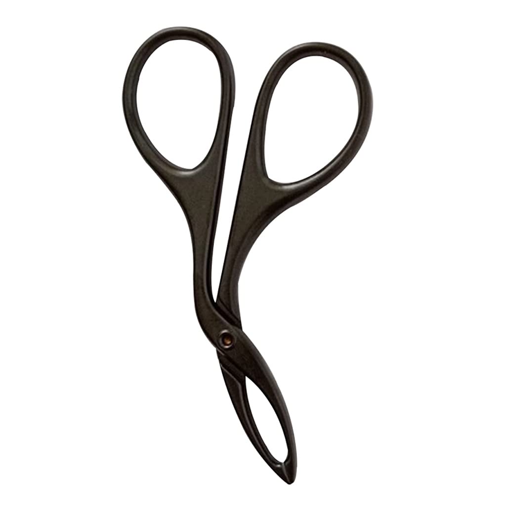 AFPSDLFJDLS Scissors Flat Tip Eyebrow Extension Tweezer Clamp Plier Eyebrows Clipper Stainless Steel Eyelash Hair Remove Epilating Tool Beauty and Personal Care AFPSDLFJDLS
