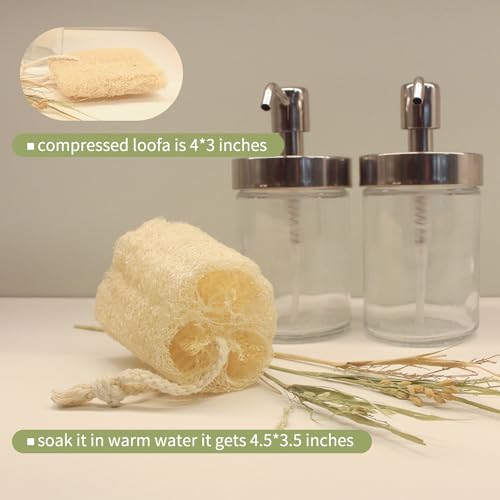 6Pack Luffa Sponges Gentle Exfoliating Body Scrubber for Shower Natural Loofah Sponge Unveil Your Skin's Natural Beauty… Beauty & Personal Care TIDIHUO