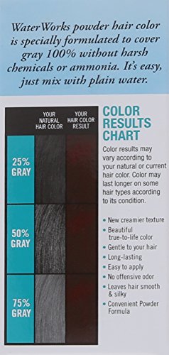 Water Works Water Activated Permanent Powder Hair Color for Men and Women, #28 Burgundy Beauty & Personal Care Water Works