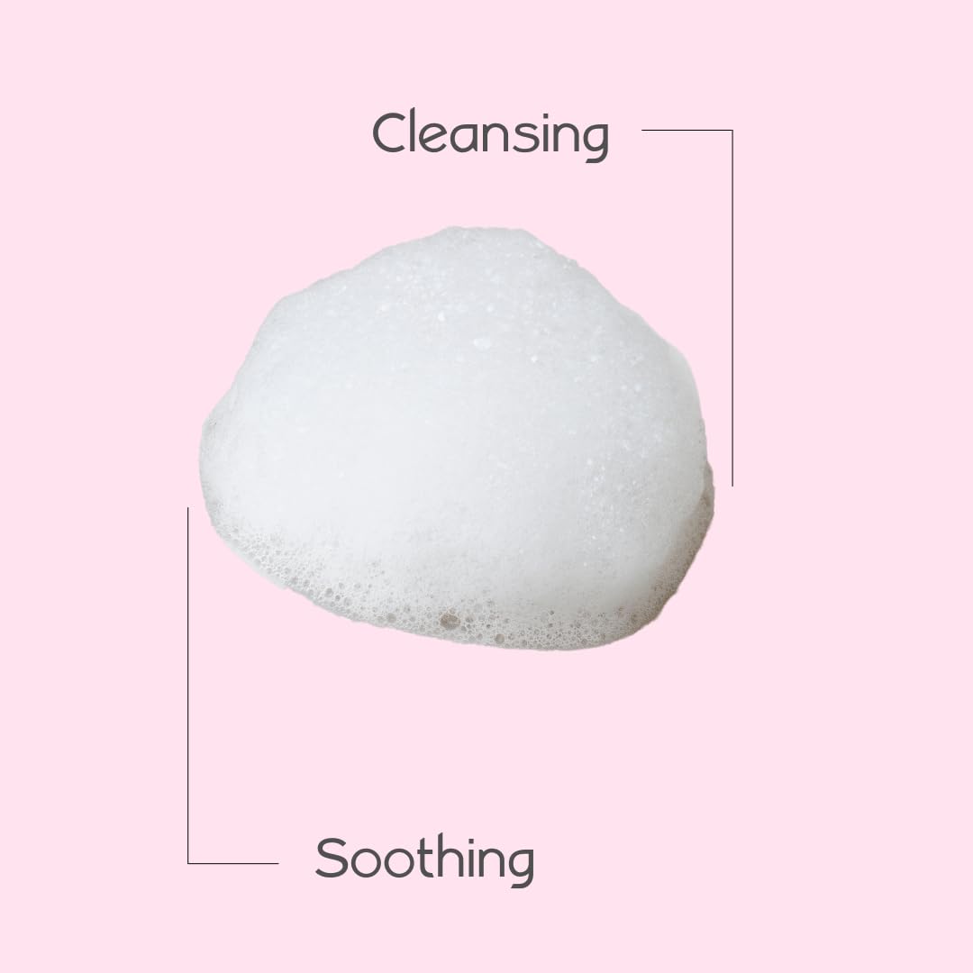 Foaming Feminine Wash |For Intimate Areas |Self-Foaming Pump |pH Balanced |Cleanses and Refreshes |Made with Natural and Organic Ingredients Beauty & Personal Care Aleva Naturals