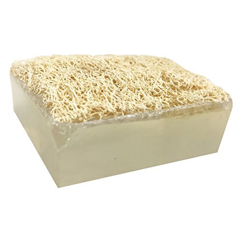 APRICOT ISLAND Handmade Glycerin LoofahBar Soap Beauty & Personal Care Primal Elements