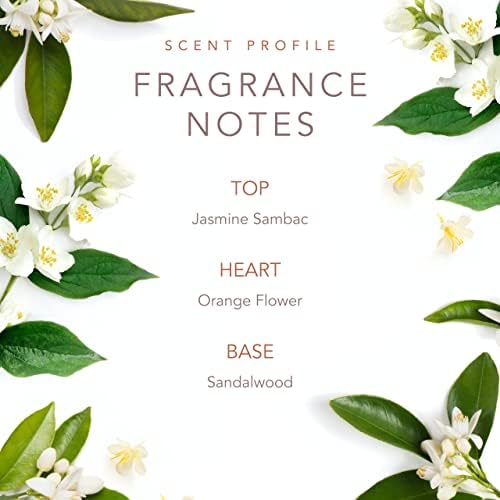SCENT BEAUTY Early Morning Breeze by Dolly Parton - Eau De Toilette - Casual, Daytime Dolly Parton Perfume for Women with Notes of Jasmine Sambac, Beauty & Personal Care SCENT BEAUTY