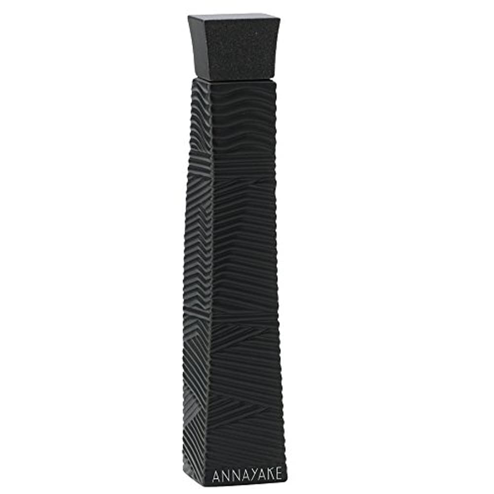 Annayake Pour Lui Eau de Toilette Spray, 3.4 Ounce Beauty & Personal Care Annayake