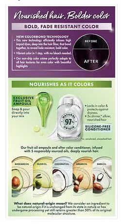 Garnier Nourishing Hair Color Creme, P1 Deepest Intense Purple, 2 Pack Beauty & Personal Care Garnier