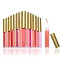 Beauty Concepts Lip Gloss Collection - Shimmering, Glossy Lip Makeup Set for a Radiant Finish, Glitter Floral Beauty & Personal Care B.C BEAUTY CONCEPTS